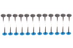 sienet 24kpl 6mm