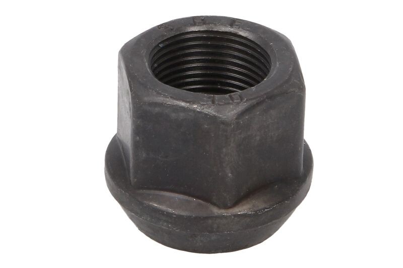 wheel nut 10089669-ds