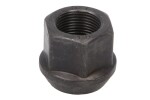 wheel nut 10089669-ds