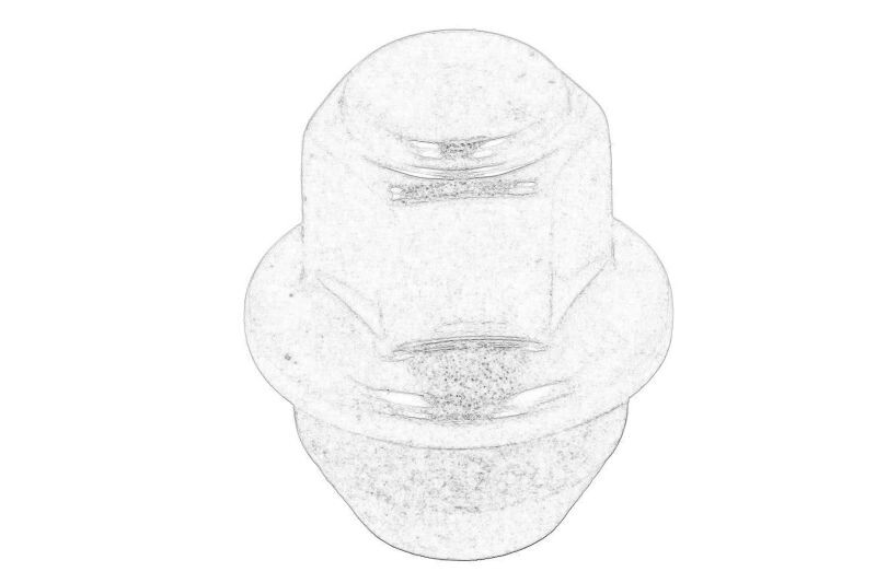 Wheel nut sopii: FORD C-MAX II, ECOSPORT, myös+ III 1.0-2.0H 01.15-