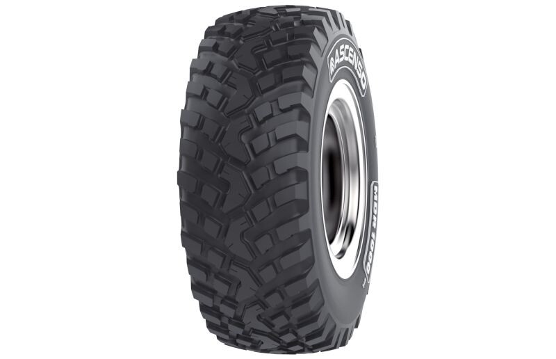padanga žemės ūkio 650/65r42 rae mdr1000