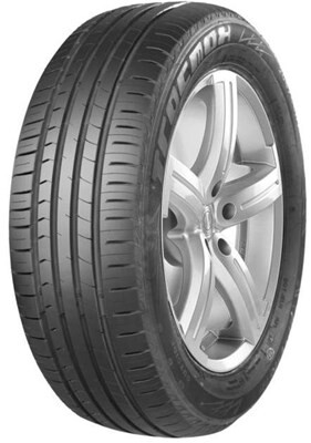 kesärengas Tracmax X-privilo RS01+ 255/40R21 102Y XL FR c c b