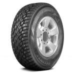215/65R17 Delinte WD42 nastarengas 103T XL