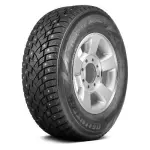 195/70R15C Delinte WD42 nastarengas 104/102R