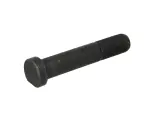 pyörän pultti takaosa M22x1,5 x115/125,5mm (kierteen pituus 39mm, Fosfaadi muundamisega päällystetty / teräs) sopii: MAN E2000, F2000, F90, M 2000 L, M 2000 M, TGA, TGM I, TGS I; MERCEDES ATEGO 2, AXOR 01.70-