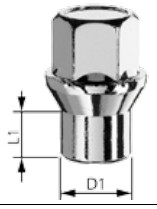 mutteri mh12x1,25/36/29,5 (ch19, 17,3/12,0 holkki) kartio 60° avain 19mm D101