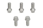 sarja asennus (OE/Fix; B S17F29 sphere M14x1,25 L29,5 R13; 1 kit / 1 vanne - 5 reikää)