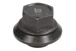 Wheel nut front M22x1,5 x38/50mm (SW33, for alloy wheel rims) fits: IVECO; MAN fits: DAF 65, 65 CF, 75, 75 CF, 85, 85 CF, 95, 95 XF, CF, CF 65, CF 75, CF 85, LF, LF 55, SB, XF 105, XF 106 04.73-