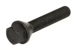 pultti vanne (M12x1,25, pituus kierre: 55mm, kartio, väri musta; huomio! avain 17)