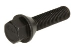 pultti vanne (M12x1,5, pituus kierre: 40mm, kartio, väri musta; huomio! avain 17)