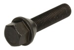pultti vanne (M12x1,5, pituus kierre: 45mm, kartio, väri musta; huomio! avain 17)