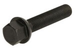 pultti vanne (M12x1,5, pituus kierre: 55mm, kuula, väri musta; huomio! avain 17)