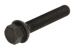 pultti vanne (M12x1,5, pituus kierre: 60mm, kuula, väri musta; huomio! avain 17)