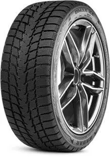 henkilöauton / maasturin kitkarengas 195/65R15 95T XL Radar Dimax Ice